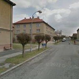 obrazek: avatar Nováček František