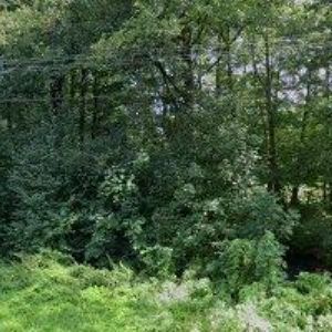 obrazek: avatar Petráková Helena