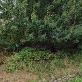 Nový Jaromír - Řeznictví a uzenářství