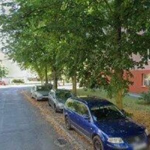 obrazek: avatar Dubová Jaroslava