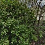 Nosková Jitka - KOSMETIKA