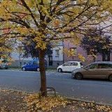 Pekárna Pavel - lakýrnictví, malířství