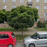 Kratochvíl Stanislav