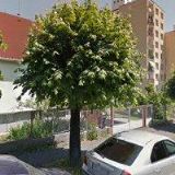 Střední odborné učiliště zemědělské