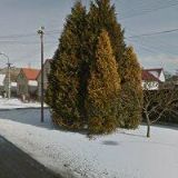 Rídl Josef - truhlářství