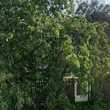 Vaňourek Pavel - KAVEL