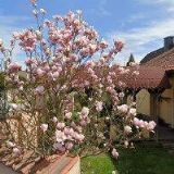 MONTREPAS, spol. s r.o.