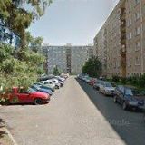 Velenovská Dana - aranžérka