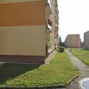 obrazek: avatar Straková Anna - sportovní masér