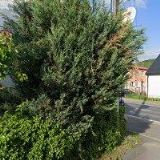 Rada Milan - BISTRO   EXPRES M + L