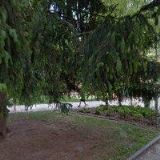 Kotěšovec Karel - NOX