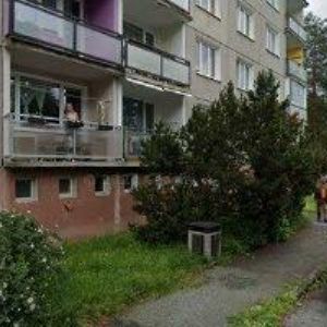 obrazek: avatar Kohout Ladislav - zahradnictví