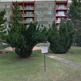 Poduška Ivo - ELEKTRO