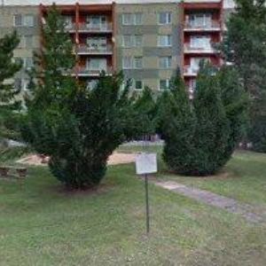 obrazek: avatar Poduška Ivo - ELEKTRO