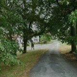 Zbraslavský Jindřich - zednické práce