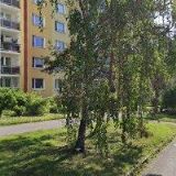 Hort Pavel - opravy automatických praček