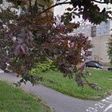 Feifrlík Petr - HO FE