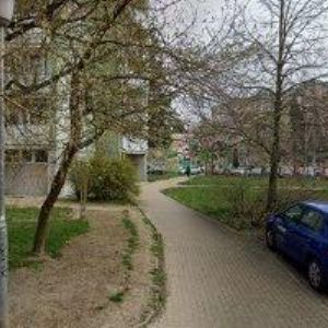 obrazek: avatar Peckert Miloš,Ing.