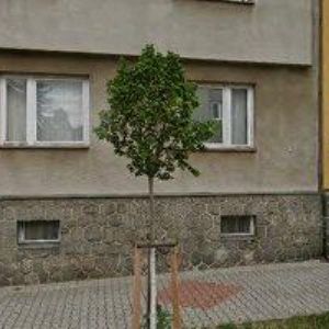 obrazek: avatar Šašek Oldřich - PLOD