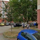 ČERNÝ,PLZEŇ-SEVER ODBORNÁ VETERINÁRNÍ ČINNOST