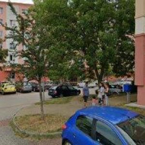 obrazek: avatar ČERNÝ,PLZEŇ-SEVER ODBORNÁ VETERINÁRNÍ ČINNOST