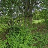 Altschmied Václav - zámečnictví