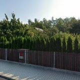 Trenda František - MHT