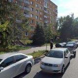 Fraňková Alena - AMBRA