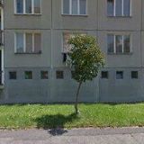 Šlais René - zednické práce