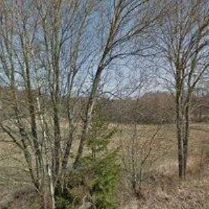 obrazek: avatar Prančlová Hana