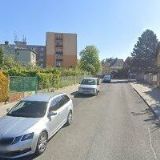 PELARGONIA-M.BÁČOVÁ