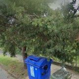 KONTRAST-STŘÍHOVÁ ÚPRAVA PUDLŮ STŘÁHÁNÍ PUDLŮ