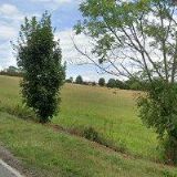 Sýkora Jiří - FYTOSEL