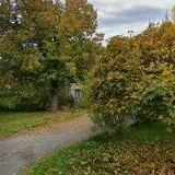 BUFET MYSLINKA PRODEJ OBČERST.