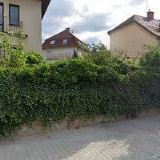 Janečková Jitka,Ing. - JANET