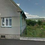 Bošek Martin - DAISY