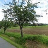 Choulík Josef - sam.hospod.rolník