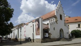 Západočeská galerie v Plzni, příspěvková organizace