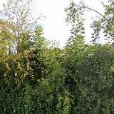 Konopík Josef - samostatně hospodařící zemědělec