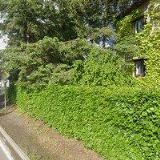 Vogeltanzová Věra - zelinářství