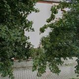 Blinkal Oldřich,Ing.