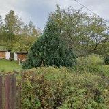 Darda Zdeněk - STAVEBNÍ TRUHLÁŘSKÉ PRÁCE