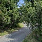 Česák Milan - KLIMEX   N