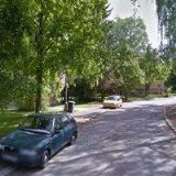 Orchidea rostlinná výroba, květiny