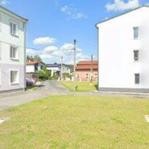 obrazek: avatar Petrášek Jan