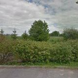 Kubíčková Daniela