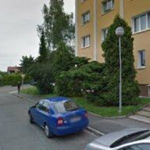 obrazek: avatar Altmanová Alena