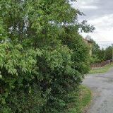 Elektroinstalace - Polák