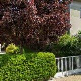 Císařová-zemědělská výroba