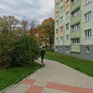 obrazek: avatar Veverková Pravoslava